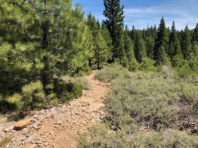 Sawtooth Trail, Big Chief 50K