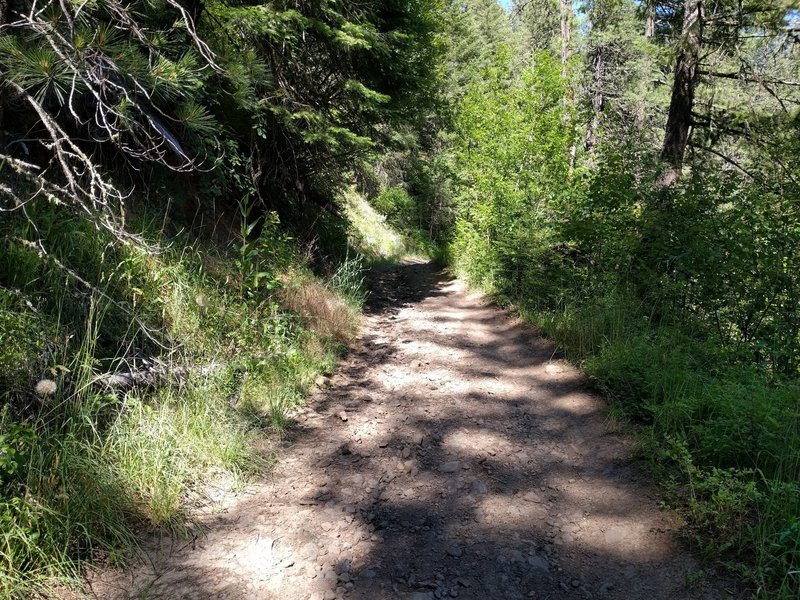 South Fork Walla Walla