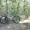 Start of Mines Spec trail