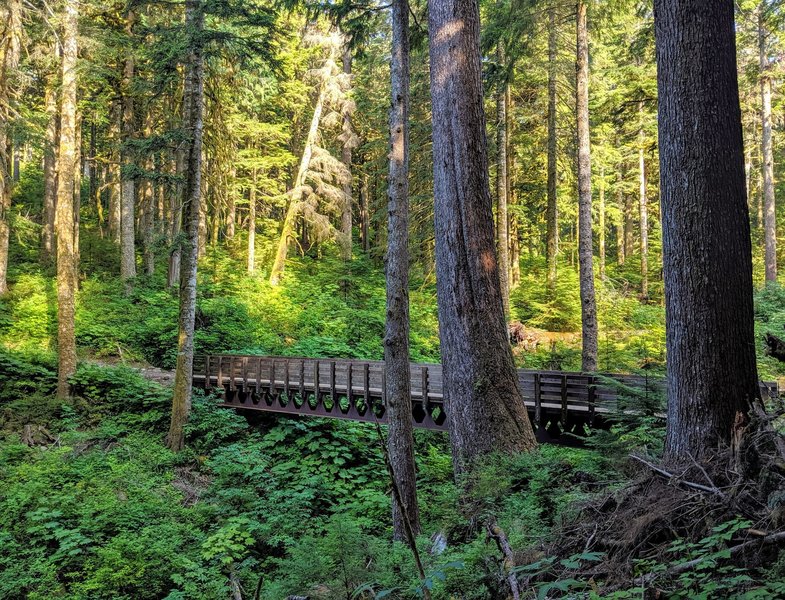 One of many well-maintained bridges on the Master Link trail climb.