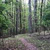 The trail is well-maintained and full of scenic views. There is usually plenty of space to move around and get creative while riding.