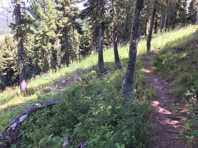 bridger bowl mountain biking