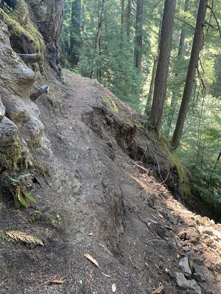 North Umpqua Trail: Hot Springs Segment