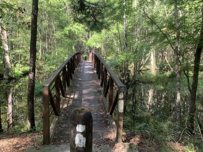 Mountain Bike Trails near Francis Marion National Forest