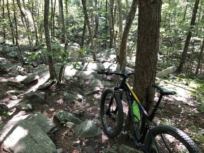 Mountain Bike Trails near Cloudland Canyon State Park