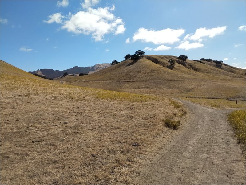 Rolling hills.