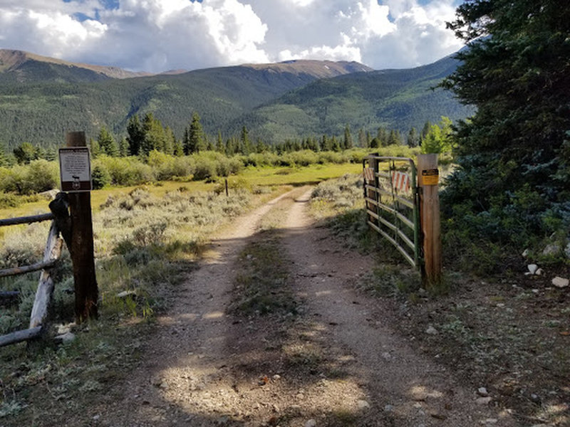 Gate To Forest Service Road