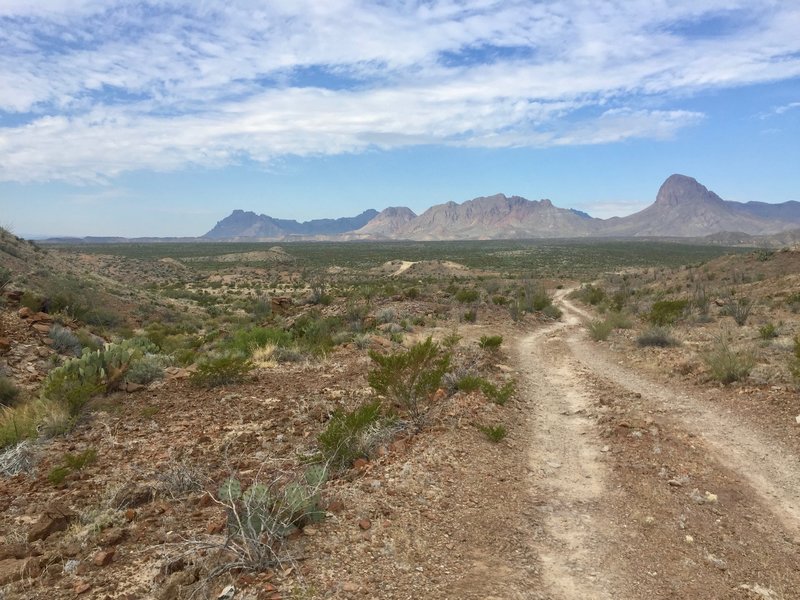 Black Gap Road Mountain Bike Trail, Big Bend National Park, Texas