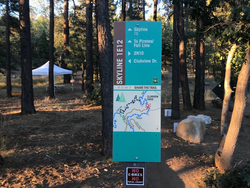 Fern Trail