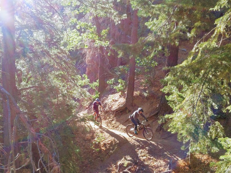 Lots of people climb the road, but going up the singletrack is lovely and not too challenging.