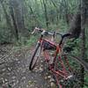 Trail was a fun challenge on the cross bike, If I'm ever in the area again, I'll definitely bring one of the wider tired bikes, still had a good time!