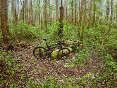 mountain bike trails near my location