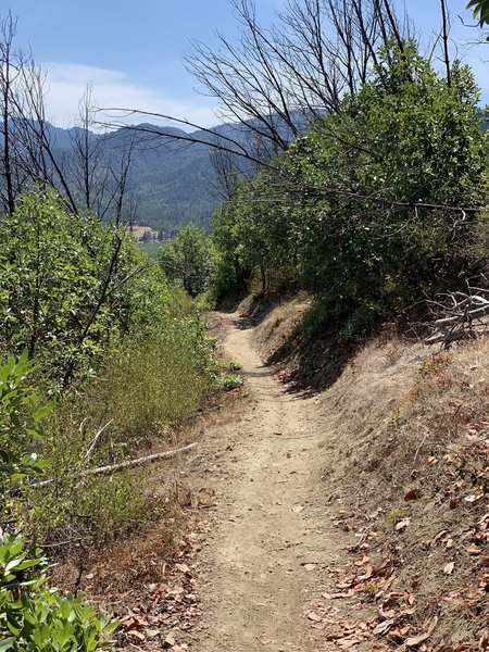 Sasquatch Trail