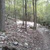 Purple trail rocks