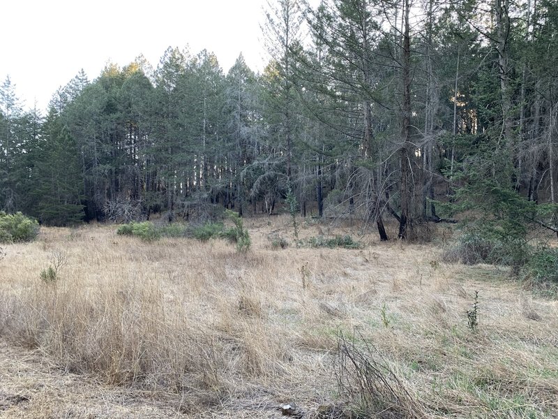 Two Quarry Trail - Fire Road