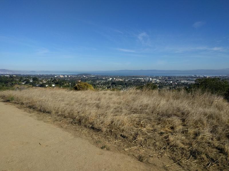 Sugarloaf Hill