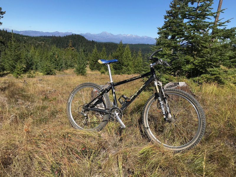 Taneum Ridge Trail #1363