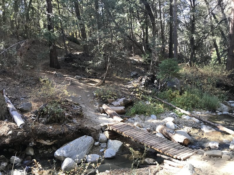 Tidy bridge crossing between switchbacks.