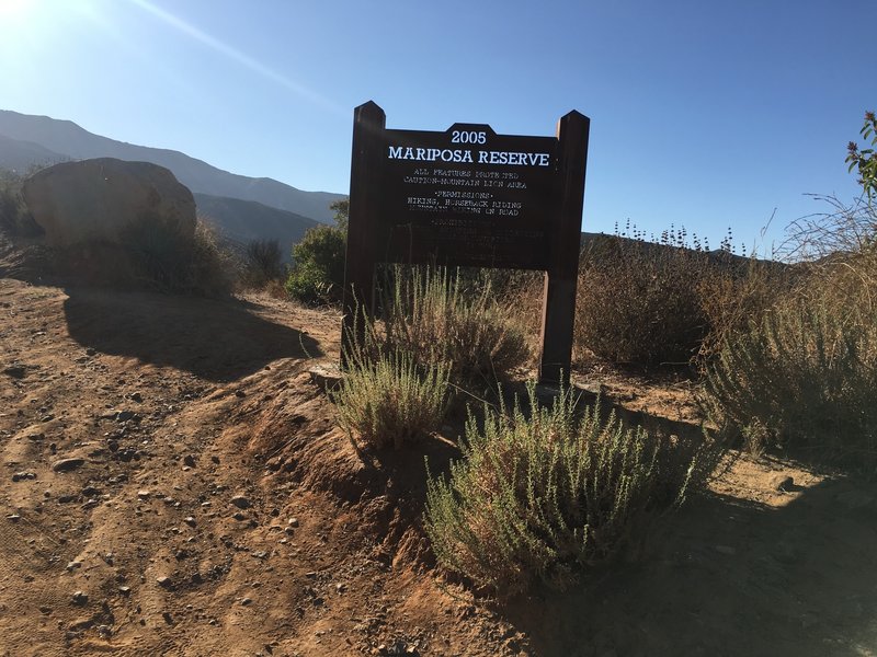 Mountain lion territory