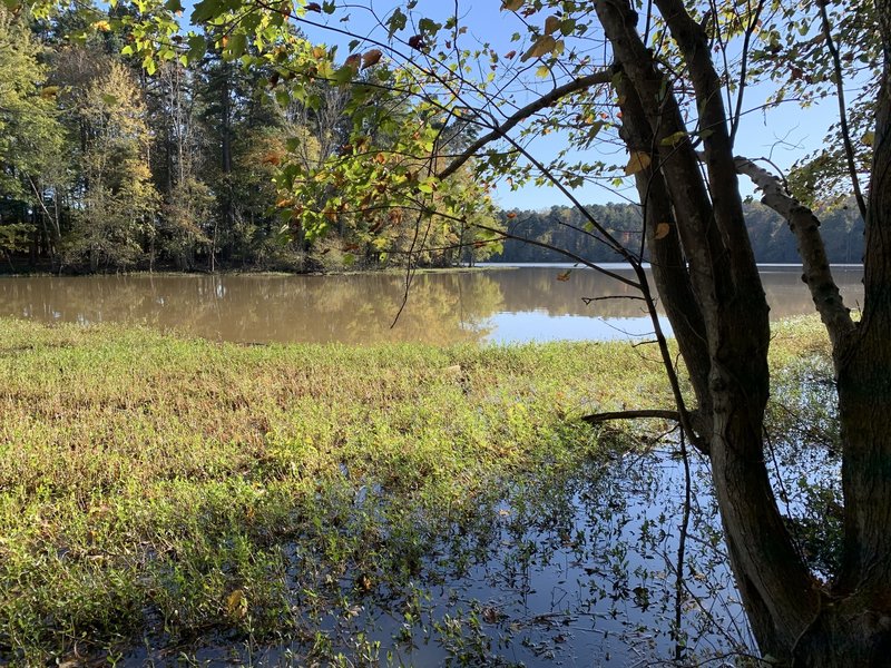 Bicentennial Greenway High Point Section Mountain Bike Trail