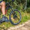 Jump on the trail