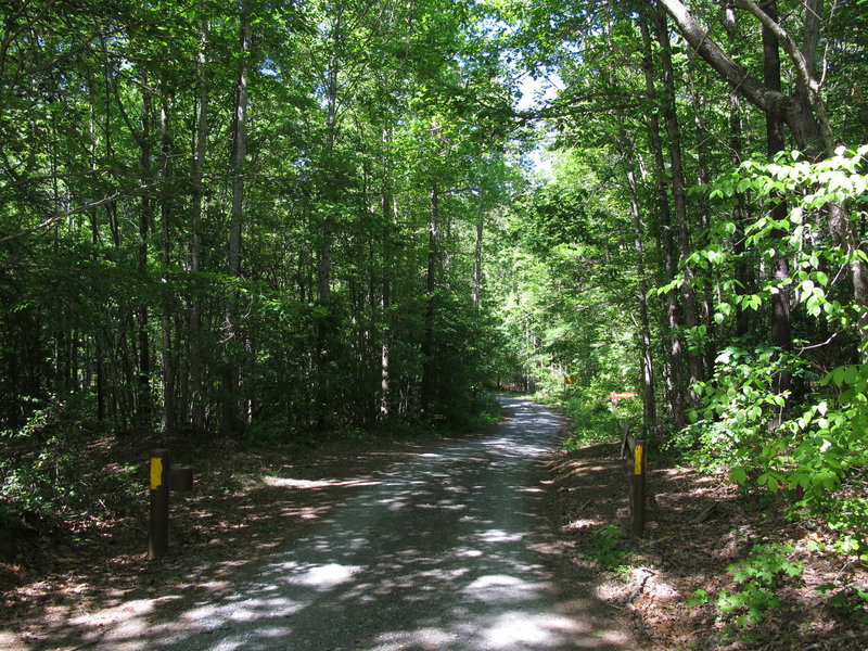 uwharrie mtb trails