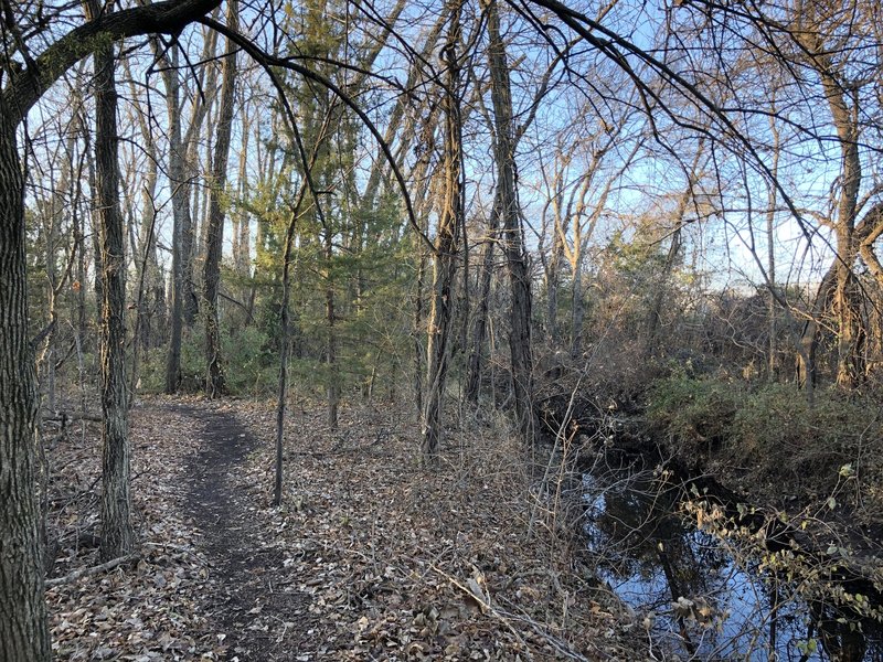 ESU and Trusler Sports Complex Trails Mountain Bike Trail, Emporia 