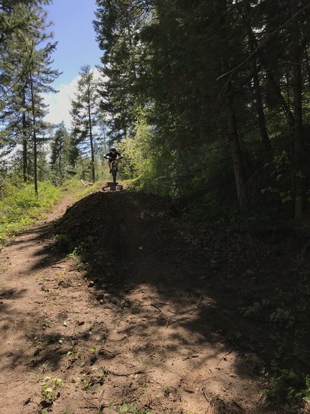 Only of couple of WHOOPS left, near the bottom of Whoopsy Doooooo