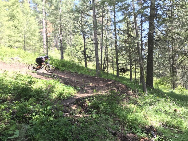 Skills Loop Trail #727