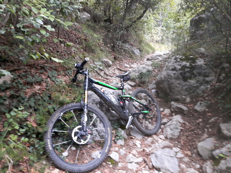 mountain bike anaconda