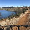 Riding the FB trail along Sacramento River.