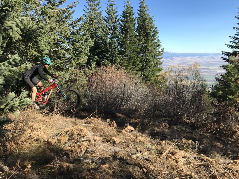 Jumps drops berms on Ridgeline Trail 320