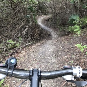 Alva mountain bike trail sale