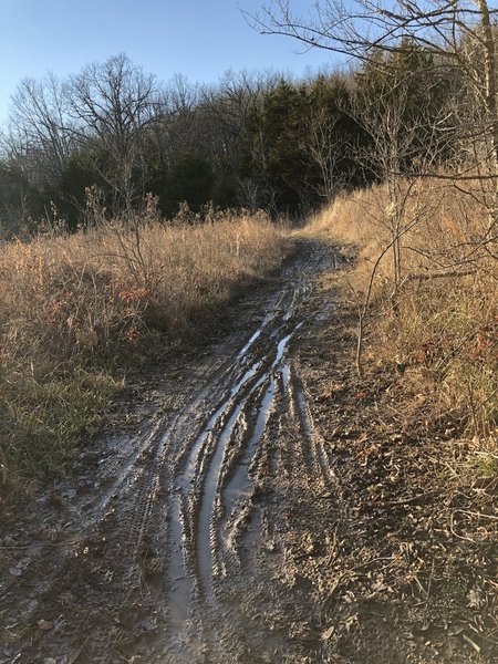 If the start of the trail looks like this, don't ride it. Some areas could be completely flooded.