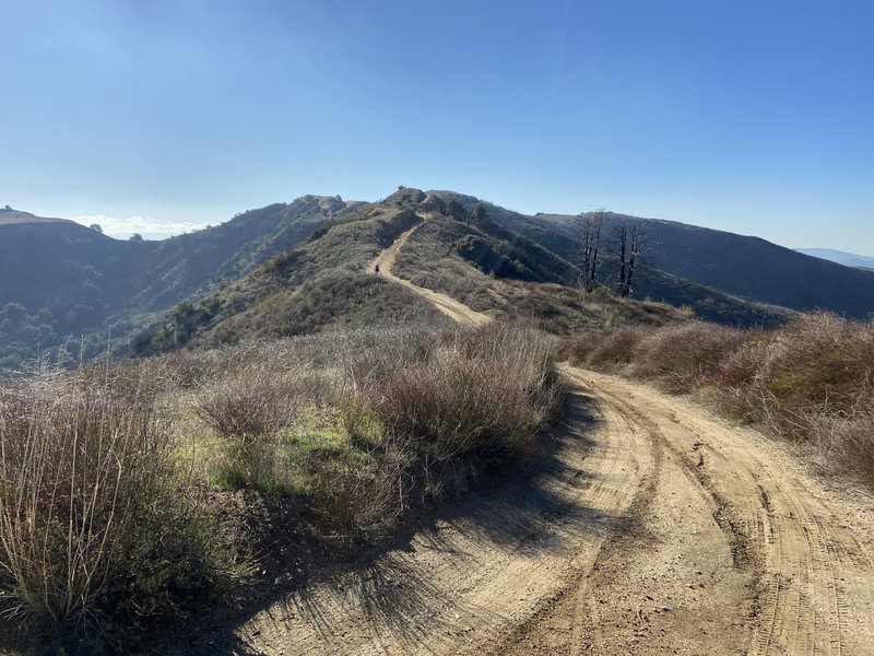 Looking along the fire road during the ascent.