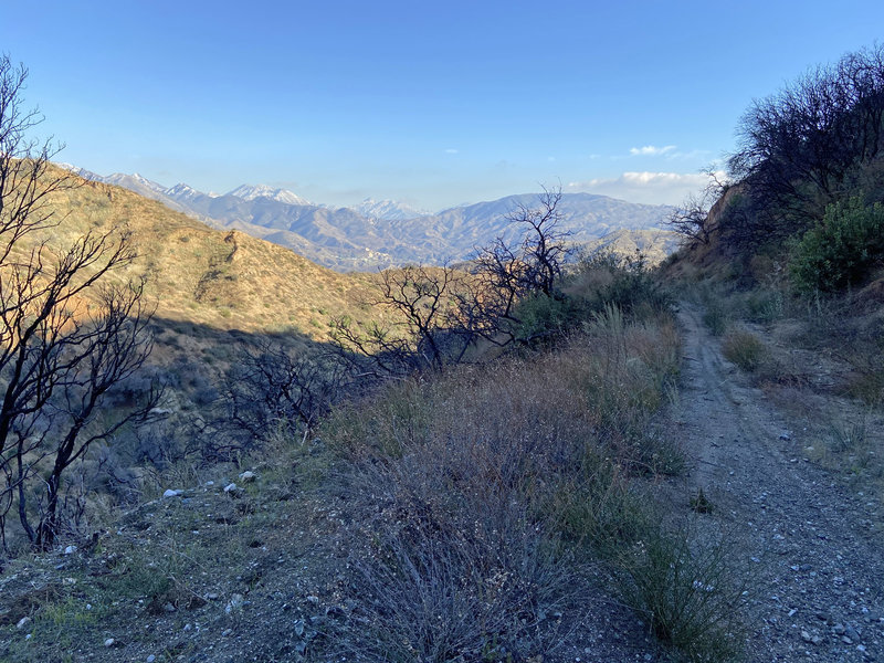 Kagel Canyon Road Mountain Bike Trail, San Fernando, California