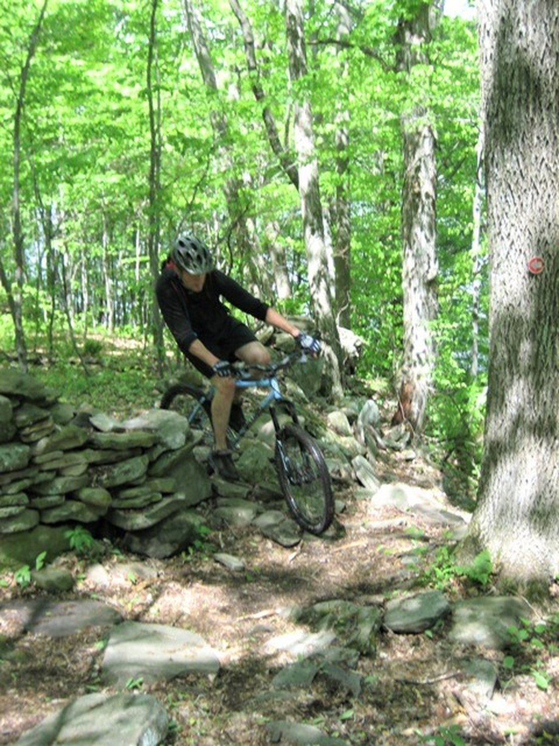 Twisting around the many rocks walls in Prompton State Park.