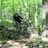 Twisting around the many rocks walls in Prompton State Park.