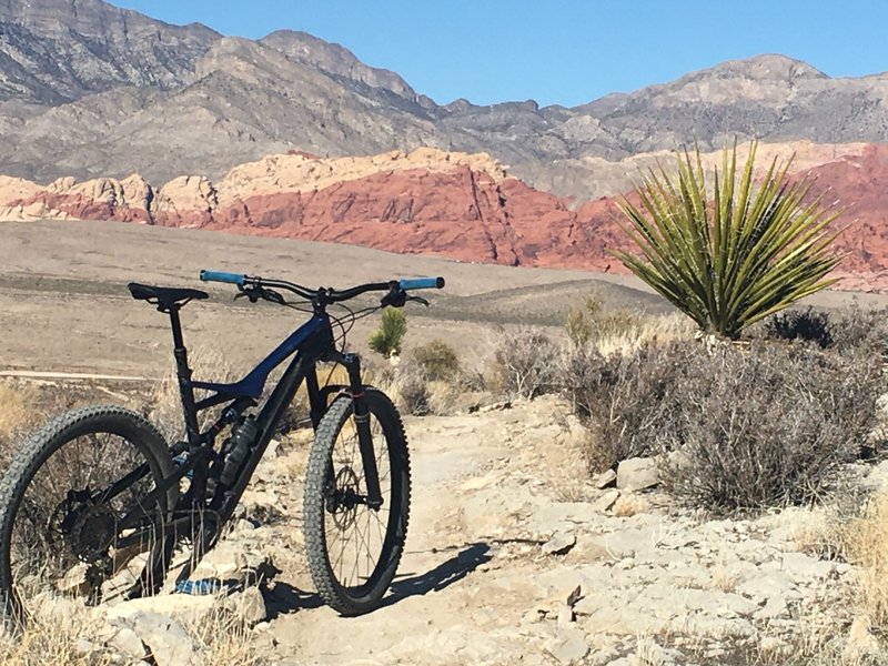 goat-roper-mountain-bike-trail-blue-diamond-nevada