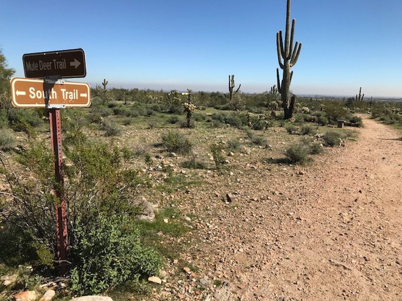South Trail connects to Mule Deer Trail in White Tank Mountain.