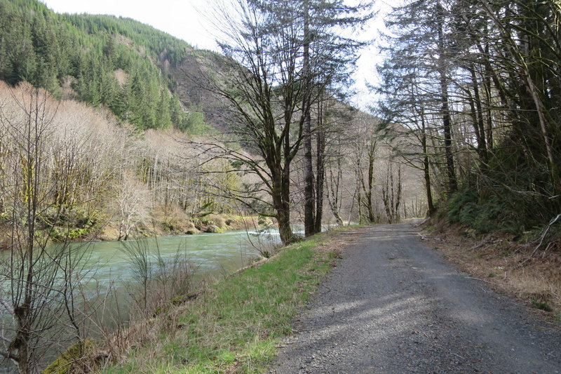 Siletz River Road
