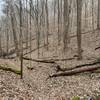 Bottom of Reservoir Hill Loop - Walking path only to the left.
