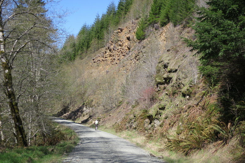 Valsetz Lake Road