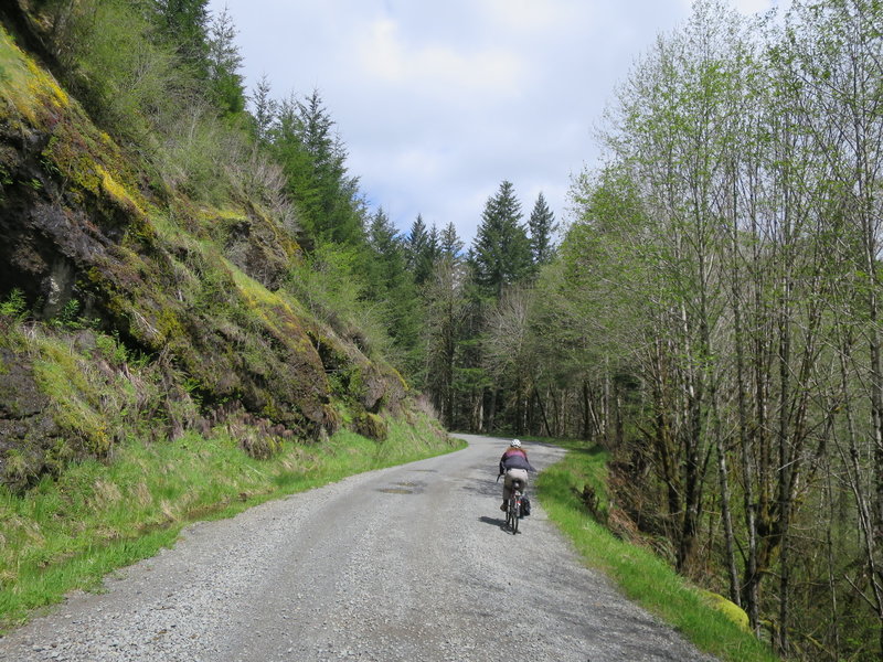 Siletz River Road
