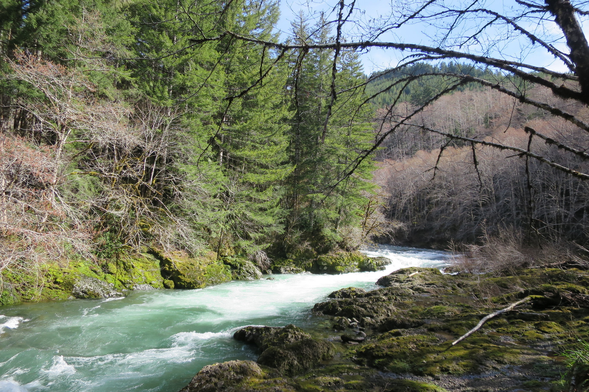 North Fork of the Siletz River