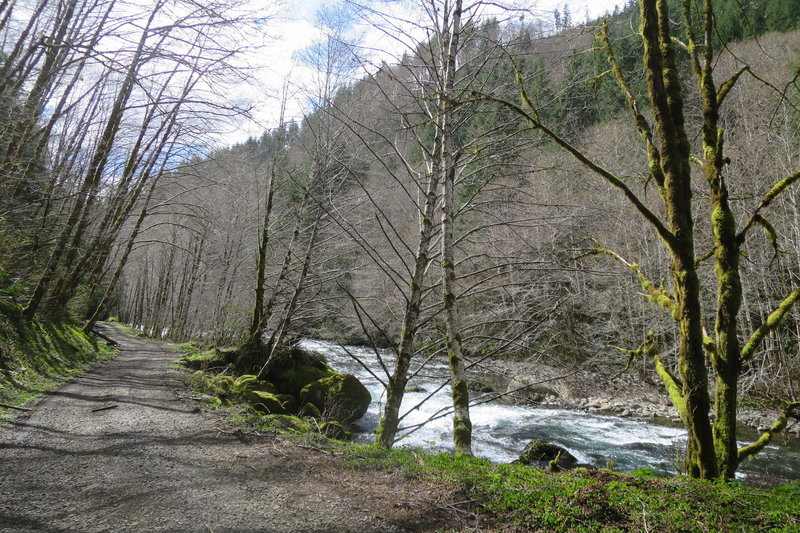 Valley of the Giants Road
