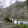 Road 500 / North Fork of the Siletz River