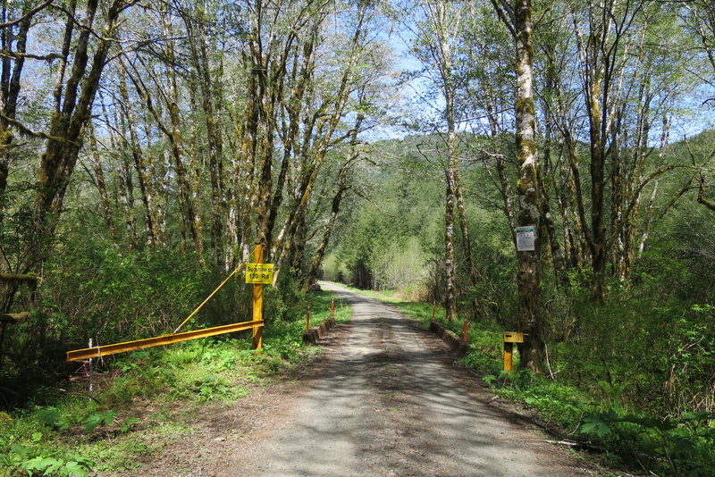 Sunshine Road