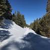 Snowy day on the trail.