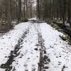 One of the bridges on this trail.